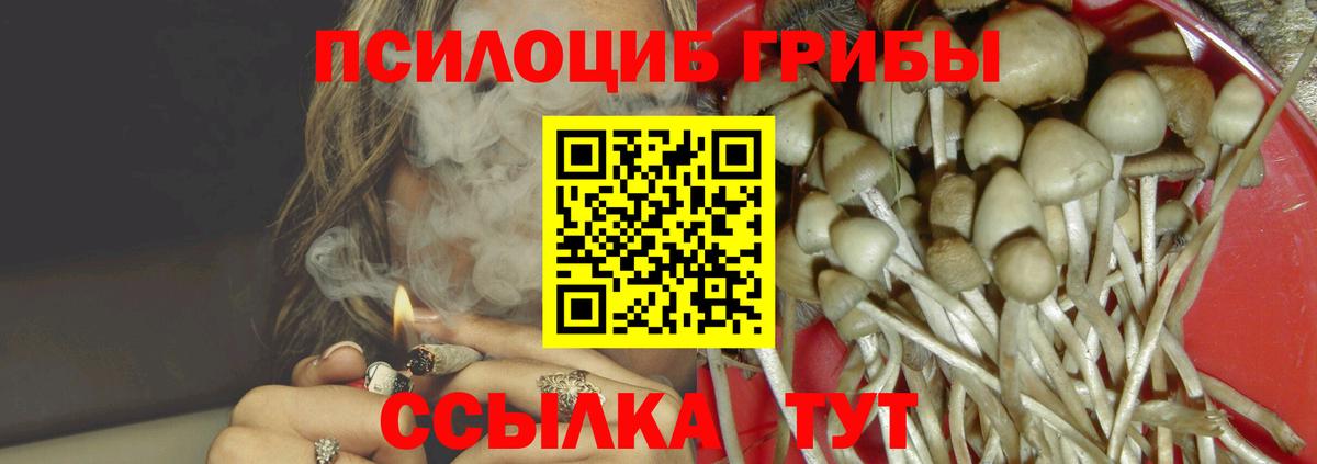 Псилоцибиновые грибы мицелий  Вход с VPN  что такое   Псилоцибиновые грибы мухоморы  Шахты 